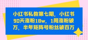 小红书私教第七期,小红书90天涨粉18w,1周涨粉破万,半年矩阵号粉丝破百万-沐风资源库