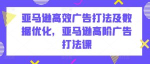 亚马逊高效广告打法及数据优化，亚马逊高阶广告打法课-沐风资源库