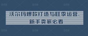 沃尔玛爆款打造与旺季运营,新手卖家必看-沐风资源库