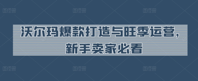 沃尔玛爆款打造与旺季运营,新手卖家必看-沐风资源库