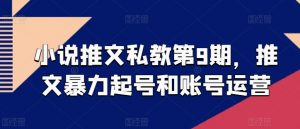 小说推文私教第9期，推文暴力起号和账号运营-沐风资源库