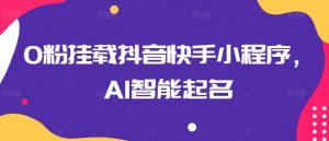 0粉挂载抖音快手小程序，AI智能起名-沐风资源库