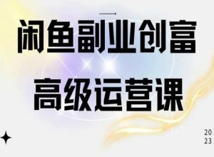 闲鱼电商运营高级课程，一部手机学会闲鱼开店赚钱-沐风资源库