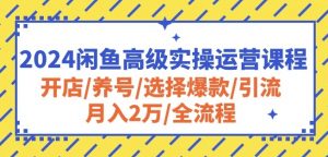 2024闲鱼高级实操运营课程：开店/养号/选择爆款/引流/月入2万/全流程-沐风资源库