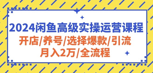 2024闲鱼高级实操运营课程：开店/养号/选择爆款/引流/月入2万/全流程-沐风资源库