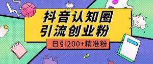 外面收费3980抖音认知圈引流创业粉玩法日引200+精准粉【揭秘】-沐风资源库