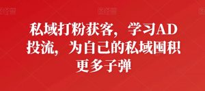 私域打粉获客，学习AD投流，为自己的私域囤积更多子弹-沐风资源库