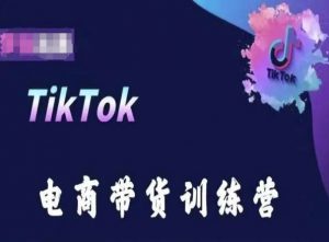 TikTok电商带货训练营，跟随时代潮流，跨境掘金-沐风资源库