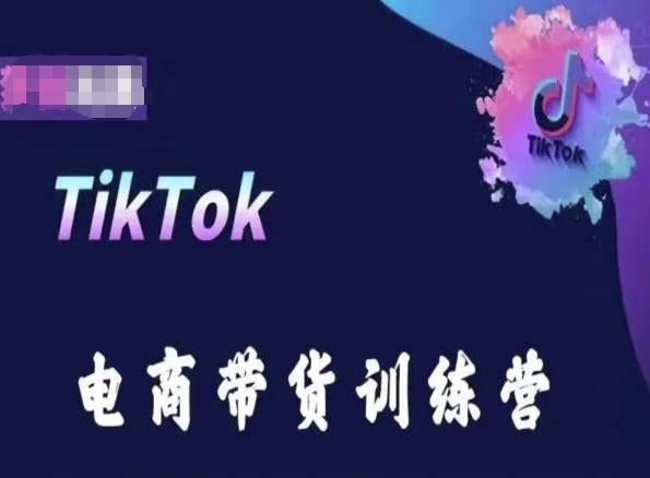 TikTok电商带货训练营，跟随时代潮流，跨境掘金-沐风资源库