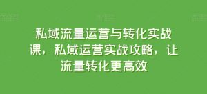 私域流量运营与转化实战课，私域运营实战攻略，让流量转化更高效-沐风资源库