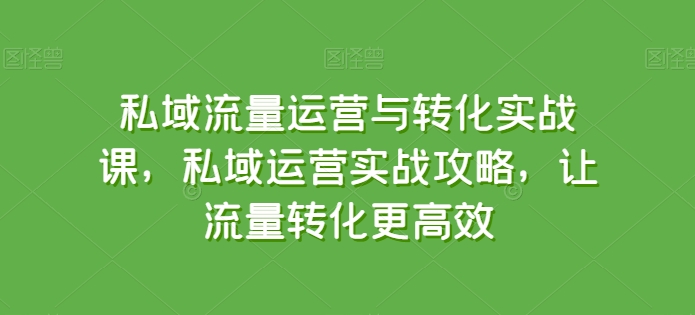 私域流量运营与转化实战课，私域运营实战攻略，让流量转化更高效-沐风资源库