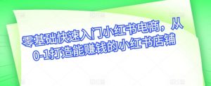 零基础快速入门小红书电商，从0-1打造能赚钱的小红书店铺-沐风资源库
