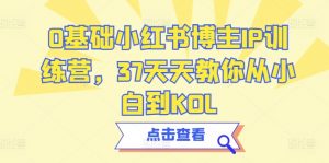 0基础小红书博主IP训练营，37天天教你从小白到KOL-沐风资源库