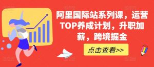 阿里国际站系列课,运营TOP养成计划,升职加薪,跨境掘金-沐风资源库