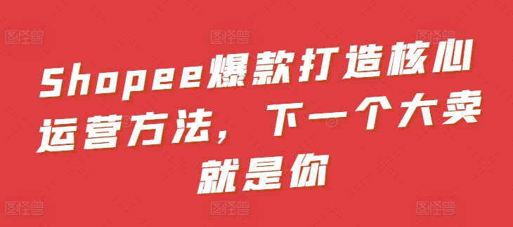 Shopee爆款打造核心运营方法，下一个大卖就是你-沐风资源库