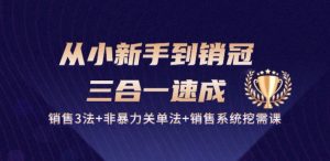 从小新手到销冠 三合一速成：销售3法+非暴力关单法+销售系统挖需课 (27节)-沐风资源库