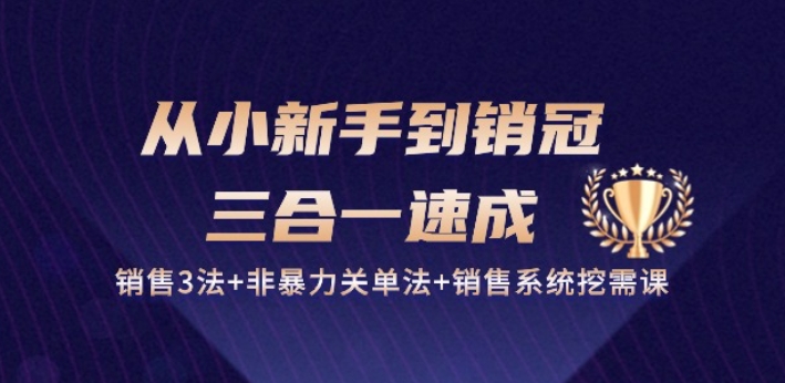 从小新手到销冠 三合一速成：销售3法+非暴力关单法+销售系统挖需课 (27节)-沐风资源库