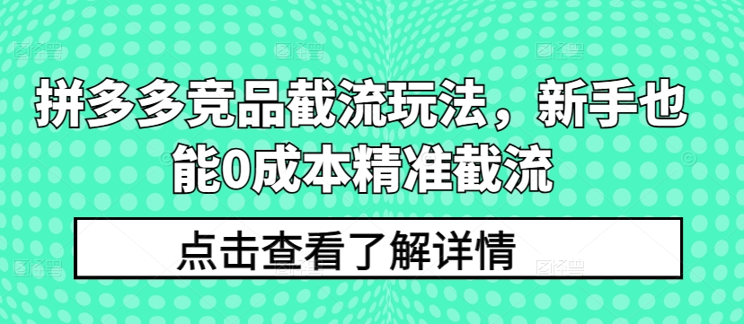 拼多多竞品截流玩法，新手也能0成本精准截流-沐风资源库