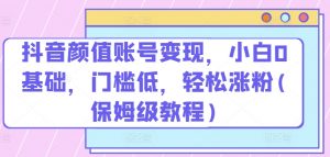 抖音颜值账号变现，小白0基础，门槛低，​轻松涨粉(保姆级教程)【揭秘】-沐风资源库