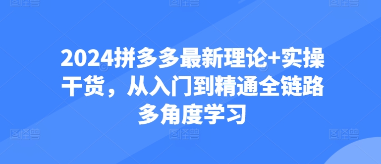 2024拼多多最新理论+实操干货，从入门到精通全链路多角度学习-沐风资源库