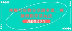 视频号好物分享副业课，视频剪辑带货玩法-沐风资源库