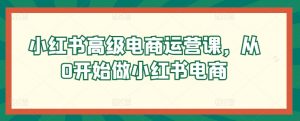 小红书高级电商运营课，从0开始做小红书电商-沐风资源库
