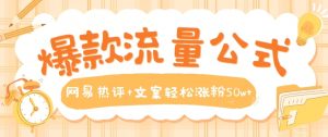 爆款流量公式，网易热评+文案轻松涨粉50w+【揭秘】-沐风资源库