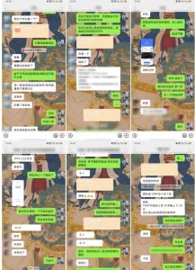 云起龙骧|15天纯利10W+，国学掘金计划玩法全网首次公开【揭秘】-沐风资源库