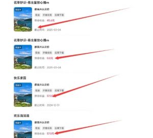 磁力聚星游戏副业陪跑训练营1.0，长期稳定项目，有人一周干了1K+-沐风资源库