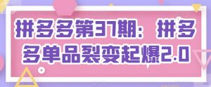 拼多多第37期：拼多多单品裂变起爆2.0-沐风资源库