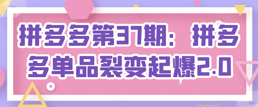 拼多多第37期：拼多多单品裂变起爆2.0-沐风资源库
