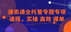 速卖通全托管专题专项课程,实操 高效 爆单-沐风资源库