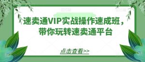 速卖通VIP实战操作速成班，带你玩转速卖通平台-沐风资源库