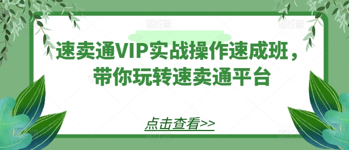 速卖通VIP实战操作速成班，带你玩转速卖通平台-沐风资源库