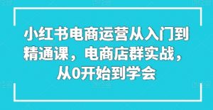小红书电商运营从入门到精通课，电商店群实战，从0开始到学会-沐风资源库