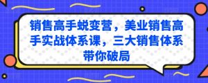 销售高手蜕变营，美业销售高手实战体系课，三大销售体系带你破局-沐风资源库
