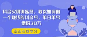 抖音实训训练营，教你如何做一个赚钱的抖音号，单日单号增粉30万-沐风资源库