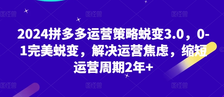 2024拼多多运营策略蜕变3.0，0-1完美蜕变，解决运营焦虑，缩短运营周期2年+-沐风资源库