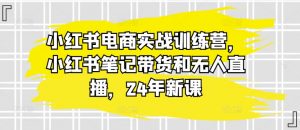 小红书电商实战训练营，小红书笔记带货和无人直播，24年新课-沐风资源库