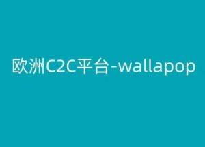 欧洲C2C平台-wallapop-kim跨境电商教程-沐风资源库