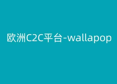 欧洲C2C平台-wallapop-kim跨境电商教程-沐风资源库