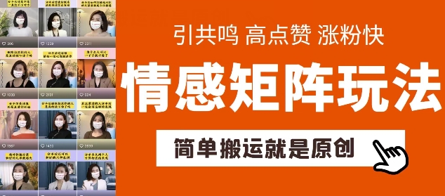 简单搬运，情感矩阵玩法，涨粉速度快，可带货，可起号【揭秘】-沐风资源库