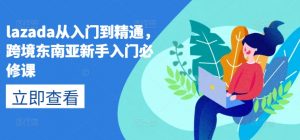 lazada从入门到精通，跨境东南亚新手入门必修课-沐风资源库