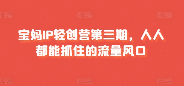 宝妈IP轻创营第三期，人人都能抓住的流量风口-沐风资源库
