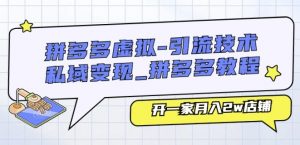 拼多多虚拟-引流技术与私域变现_拼多多教程：开一家月入2w店铺-沐风资源库