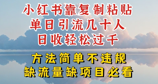 小红书靠复制粘贴单日引流几十人目收轻松过千，方法简单不违规【揭秘】-沐风资源库