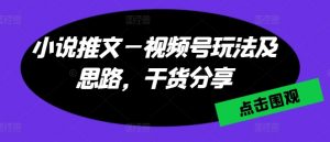 小说推文—视频号玩法及思路，干货分享-沐风资源库