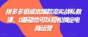 拼多多低成本爆款流实战私教课，0基础也可以轻松搞定电商运营-沐风资源库