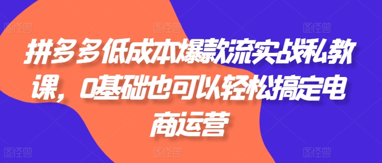 拼多多低成本爆款流实战私教课，0基础也可以轻松搞定电商运营-沐风资源库
