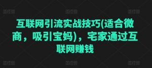 互联网引流实战技巧(适合微商，吸引宝妈)，宅家通过互联网赚钱-沐风资源库